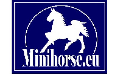 Minihorse